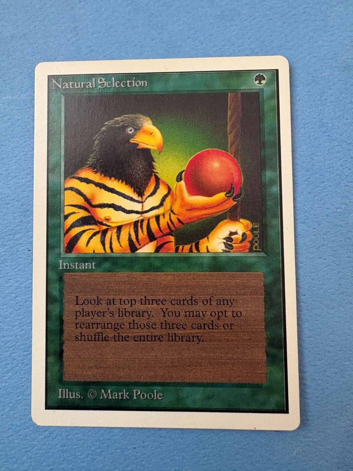 MTG Unlimited Editioon Natural Selection! 1993 Vintage Magic!