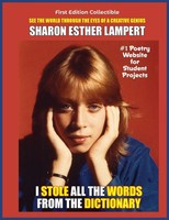 I Stole All The Words From The Dictionary Sharon Esther Lampert Taschenbuch 2023