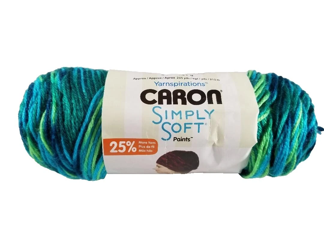 Caron Multi-Color Plain Yarns