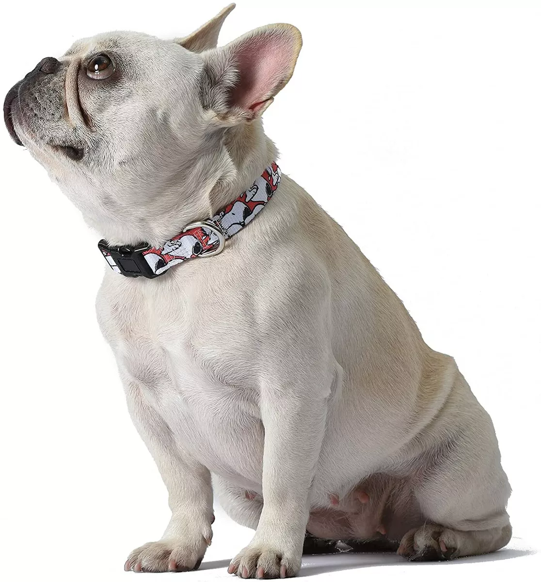 PEANUTS SNOOPY DOG COLLAR ADJUSTABLE PET COLLAR BUCKLE CLOSURE LARGE 16 26