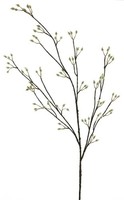 Artplants Dekozweig WeidenkäTzchen Nayong Mit BlüTen, Creme, 120 Cm