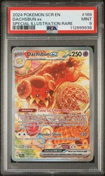 Dachsbun ex 169/142 Stellar Crown Special Illustration Rare