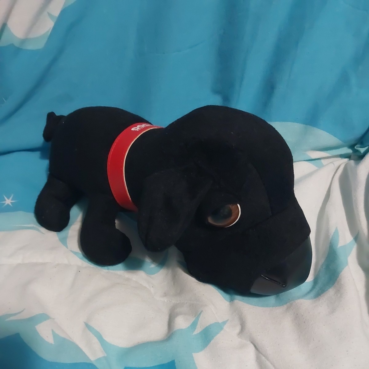 BLACK DOG 中古　美品　帯付き THE DOG Artlist Collection Black Labrador Plush Red Collar 14