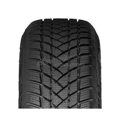 GT Radial 195/65 R15 91T Winterreifen WinterPro 2 3PMSF | 151249