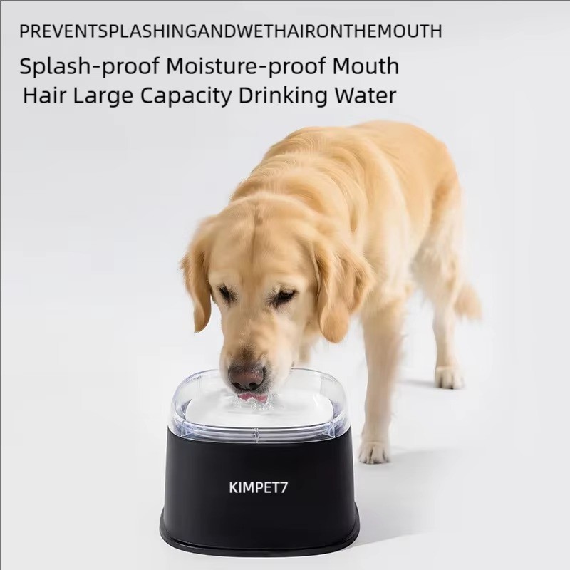 Gamelle anti-éclaboussure chien 2L grand modèle en ABS premium durable
