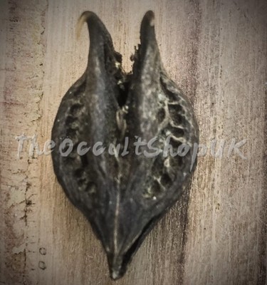 Nero Magical Devil Artiglio Mystic Strega Spells Talismano