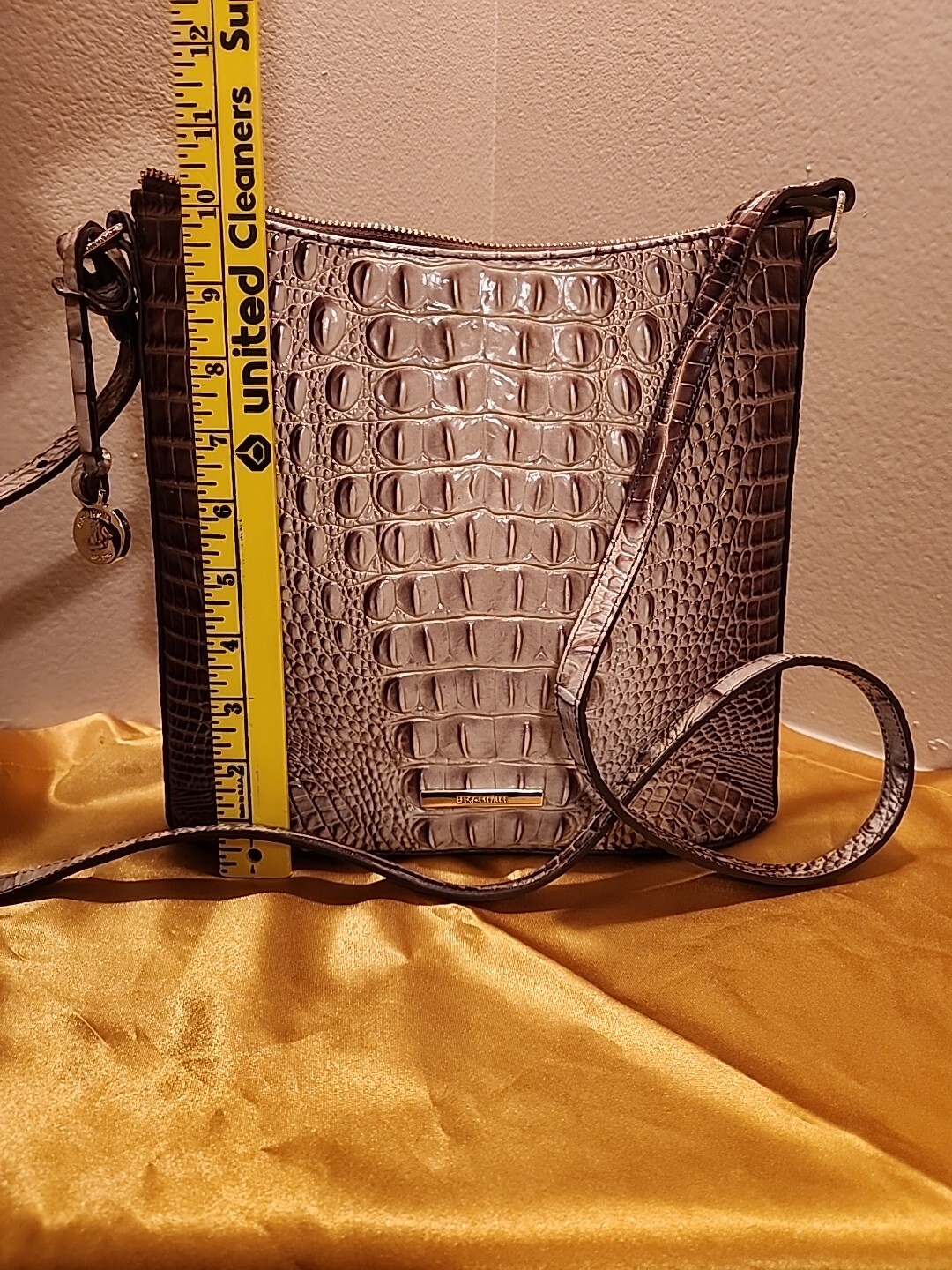 Brahmin Katie - image 2