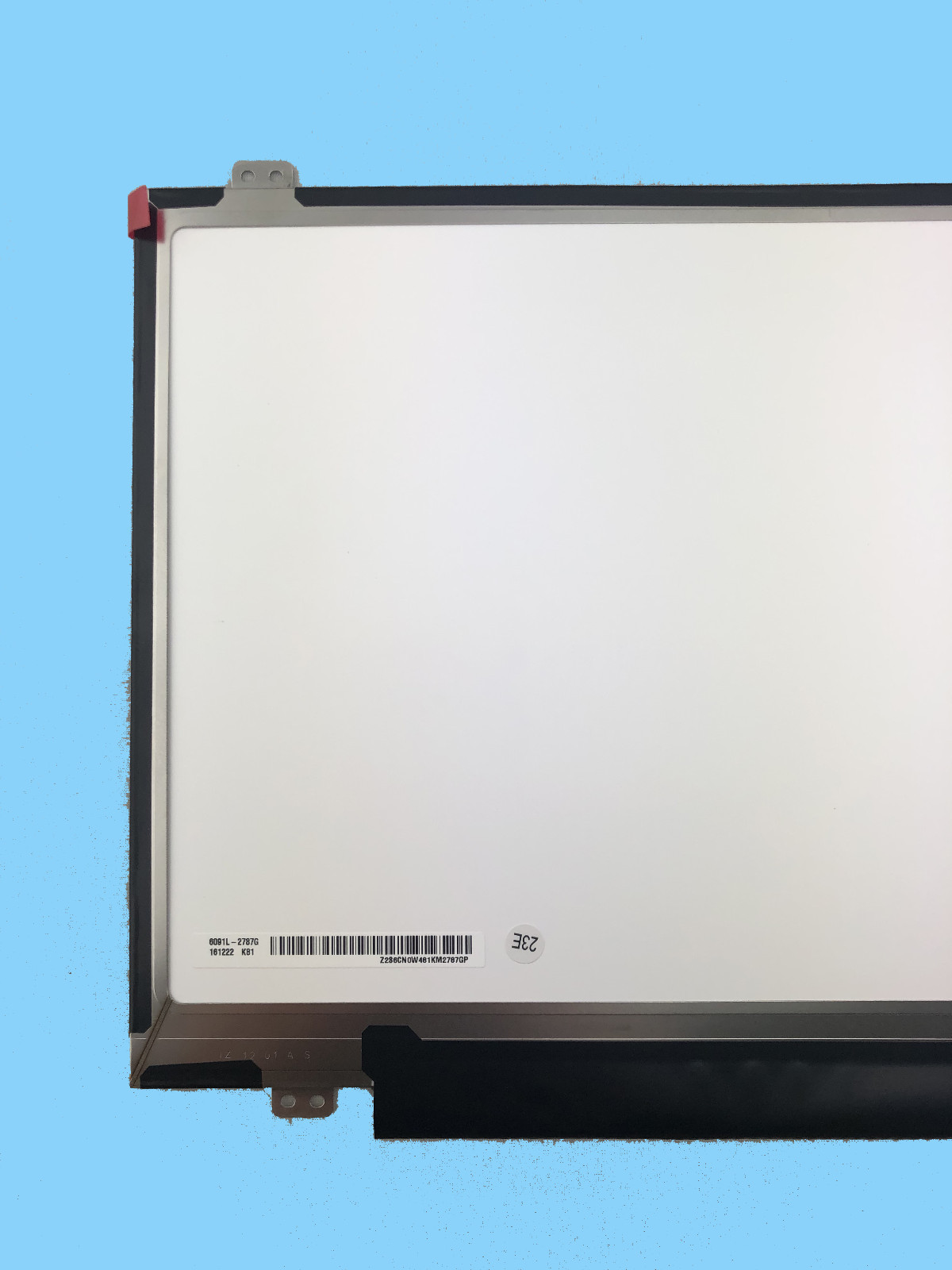 Rack Storage Tree Organizer Stand For 48 Pairs From Floor To