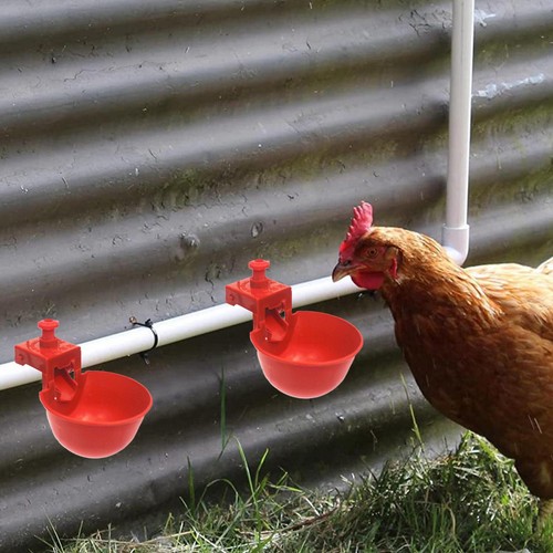 10PCS Drinking Bowl Waterer Poultry Chicken Water Cup Feeder Drinker Automatic - Picture 4 of 12