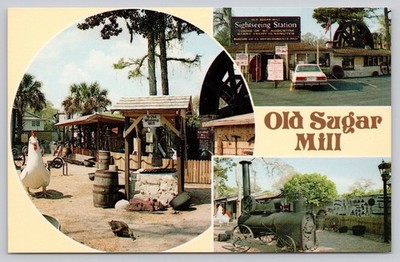 Old Sugar Mill St. Augustine Florida Chrome Postcard Plantation Era History