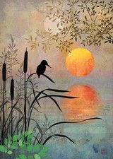 Bug Art Scenics ~ Kingfisher ~ Sunset Gold Foiled & Embossed Blank Greeting Card