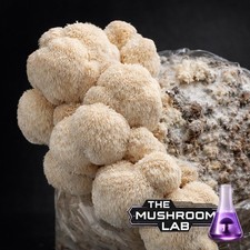 Mix & Match Liquid Culture 10ml - 14 Strains - 2x-25% OFF ? 3x-30% OFF ? 4x-35%