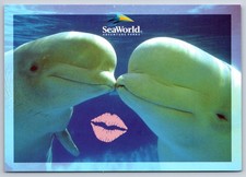 Postcard Beluga Whales Kissing Seaworld Adventure Parks Marine Biology
