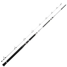 Spro Salty Beast Nano Heavy Jig BC 240cm 250g - Meeresrute, Baitcasterrute, Rute