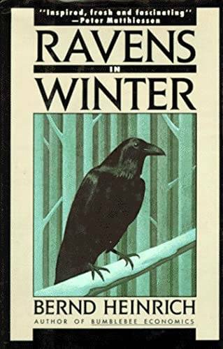 Ravens in Winter - Paperback By Heinrich, Bernd - GOOD - Bild 1 von 1