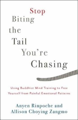 Anyen Rinpoche Allison Choy Stop Biting the Tail You' (Taschenbuch) (US IMPORT)