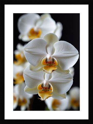 Vibrant Orchid Framed Wall Art Poster Canvas Print Picture