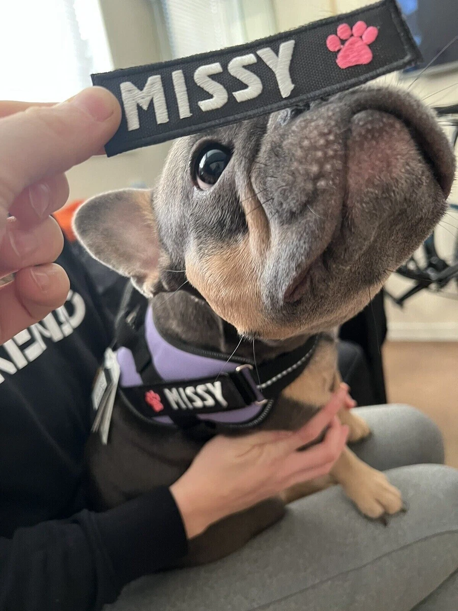 Name tags for julius k9 top