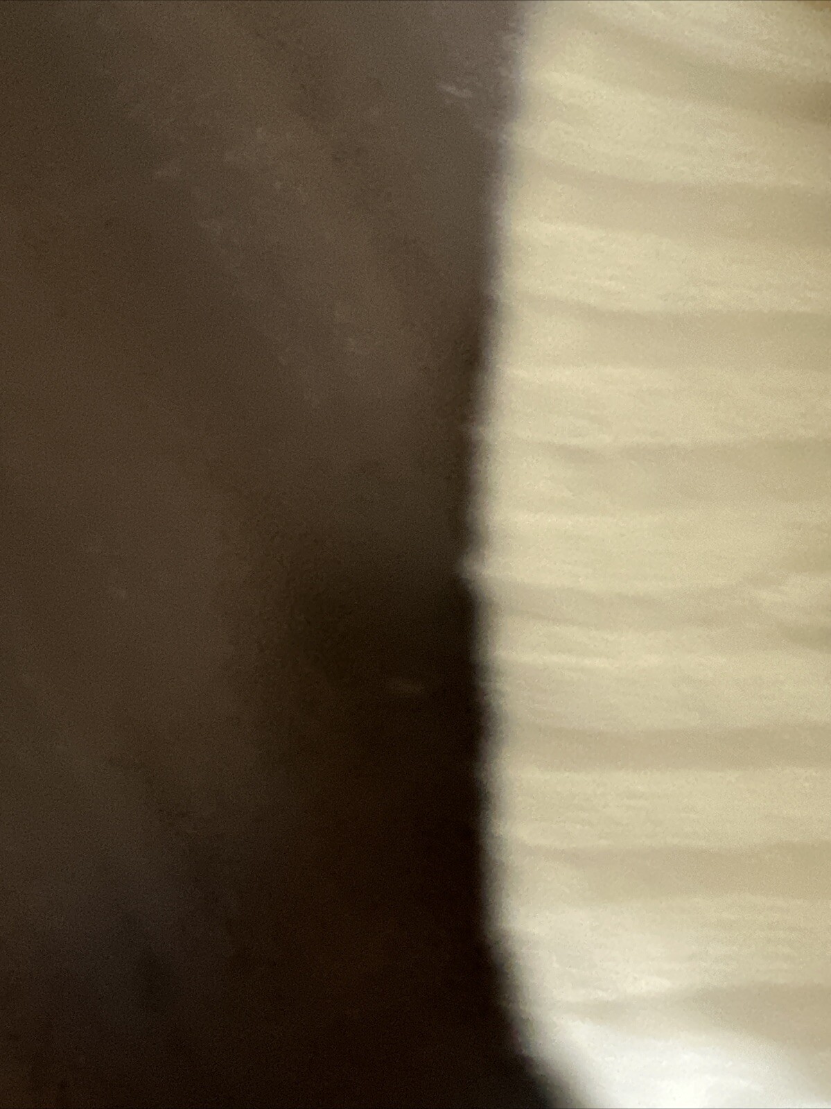 Bild 6 von 6