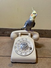 Bell Systems Western Electric Rotary Dial Desk Phone 500DM Off White Needs Cord