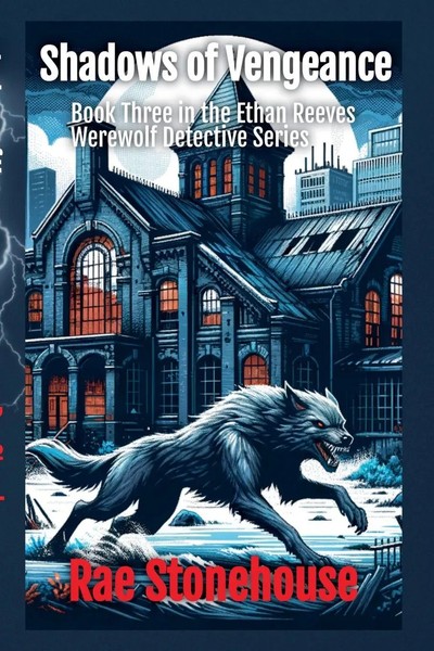 Rae Stonehouse | Shadows Of Vengeance | Taschenbuch | Englisch (2025)-image
