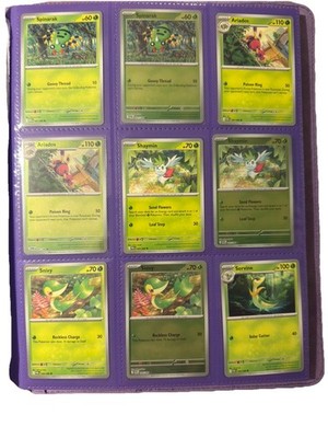 Pokemon Perfect Order Complete Master Set including holo/reverse- ex