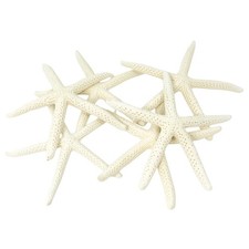 Best Starfish Decor - Star Fish for Craft 15pk Real 4-6" White Sea Stars Beach