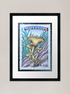 Pilz Vintage Briefmarke Rahmen gerahmt Wandbild Poster Leinwanddruck Bild