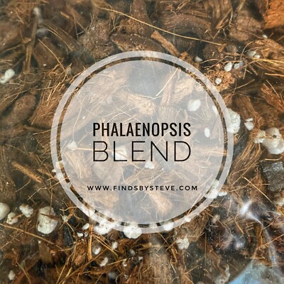 Steve s Phalaenopsis Small Batch Kentucky-Made Soil
