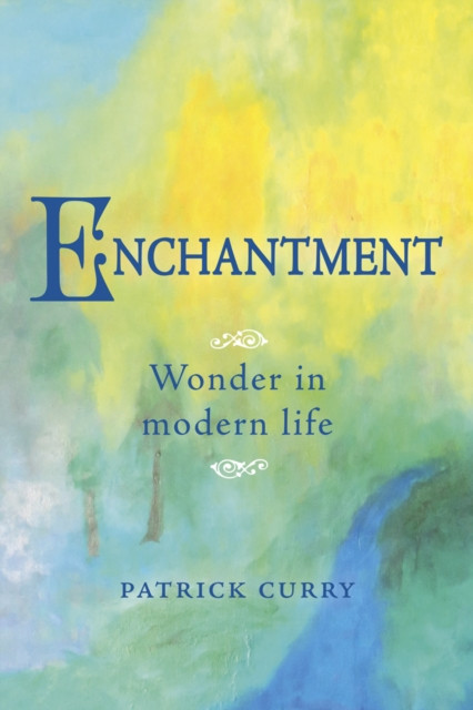 Enchantment Wonder in Modern Life by Patrick Curry (Paperback Book)