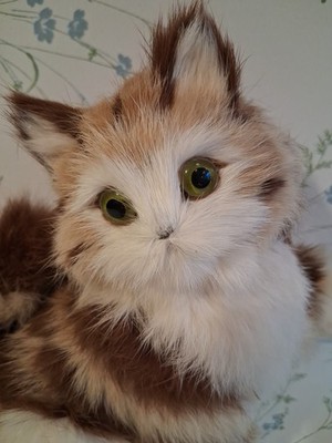 Realistische Katze Kätzchen aus Kaninchenfell Tadelloser Zustand 