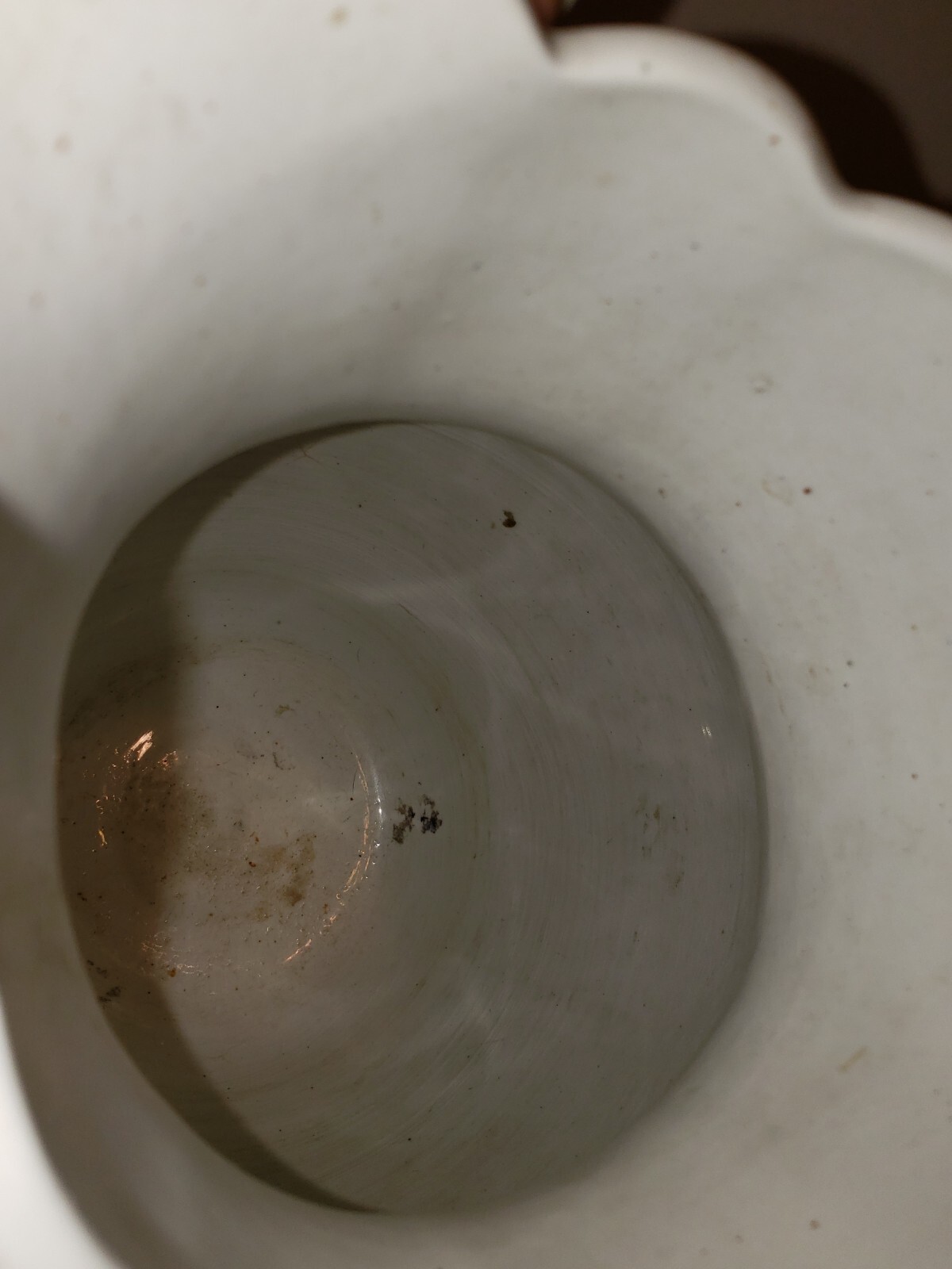 Picture 7 of 7