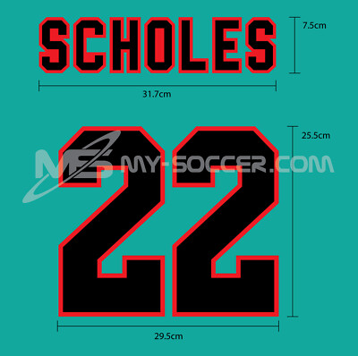 Manchester United FC Away 1995-96 VELVET FLOCK PRINT Manchester United FC Away 1995-96 VELVET FLOCK PRINT
