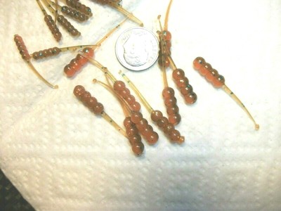 100-3/4"crappie panfish trout-perch grubs-glow-soft plastic ice jigs-lure 100-3/4"crappie panfish trout-perch grubs-glow-soft plastic ice jigs-lure