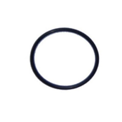 Replacement Pentair 59000600 O-Ring / FNS & Pool and Spa D.E. Filter   O-24