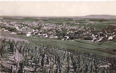 Ay Epernay 51 Marne Panorama