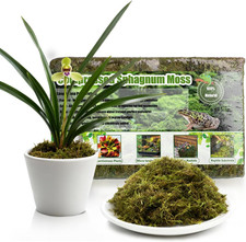 Compressed Sphagnum Moss for Plants  Reptiles 1Pc   Dried Peat Moss, Moisture-