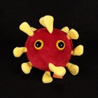 Picture 9 of 24