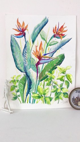 Bird of Paradise Art Hawaiian Plant Original Tropical Water color painting 16x12 - Video 1 of 1