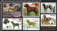 [cheb] Frame it - Dog Breed CHESAPEAKE BAY RETRIEVER - 6 Diff Stamps - VF