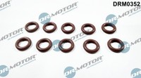 NEU - Dr.Motor Automotive DRM0352 Dichtring, Einspritzventil FüR BMW CitroËN