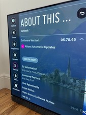 LG OLED55E6P - Fully functional with OLED burn-in *see pic & video below*