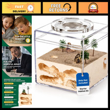 Beginner Ant Farm Starter Kit - Formicarium for Hobbyists, Ants Not Included