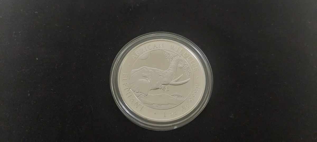Moneda Plata 1 Onza Elefante de Somalia 2023 BU - African Wildlife 1 oz Silver