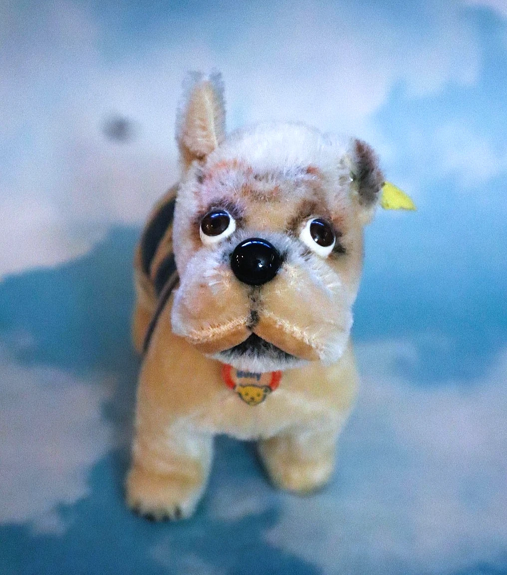 steiff bulldog products for sale | eBay