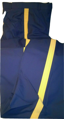 army dress blues yellow stripe Army Set of 2 Gold Embroidered on Blue Service Stripe for Male main image 0