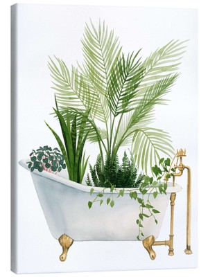 Leinwandbild Plant Bath I - Grace Popp