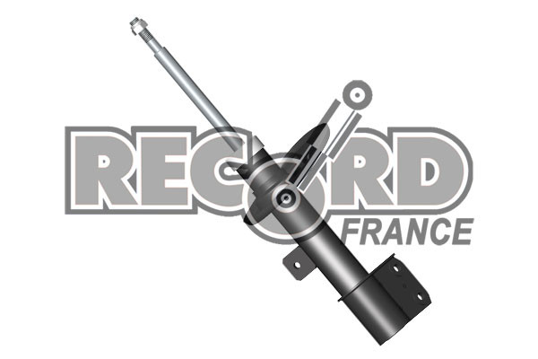 Amortisseur RECORD FRANCE 214709 supprime vibrations PEUGEOT PARTNER Camion