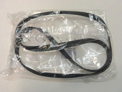 #ad #ad ARISTON FUTURA WASHER MOTOR DRUM DRIVE BELT WMG829B WMG829BAUS P N A119126 AU $32.95