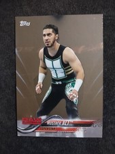 2018 WWE Topps BRONZE #64 Mustafa Ali Wrestling Card